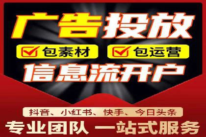 SEM公司案例研究：数据驱动营销策略
